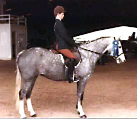 Bristol Charlie's Angel standing quietly with rider astride and a winning blue ribbon on her bridle